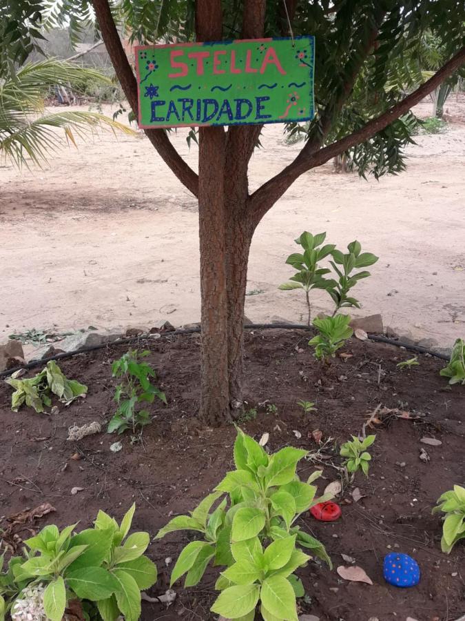 Chalé com Vista Privilegiada Pilões de Dentro Esterno foto