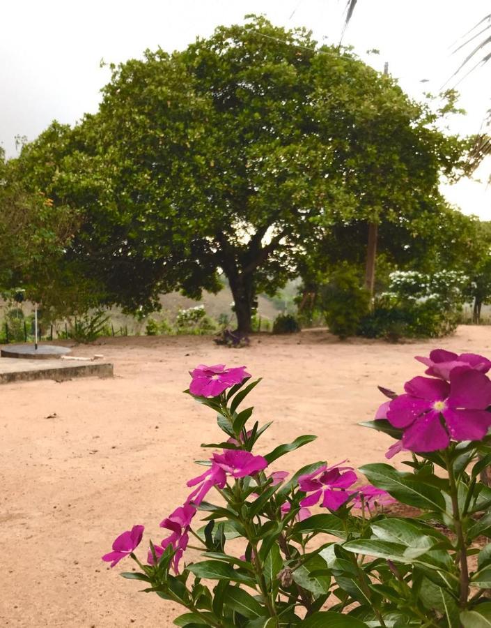 Chalé com Vista Privilegiada Pilões de Dentro Esterno foto