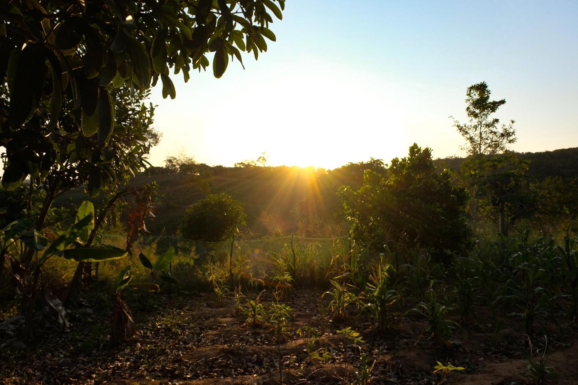 Chalé com Vista Privilegiada Pilões de Dentro Esterno foto