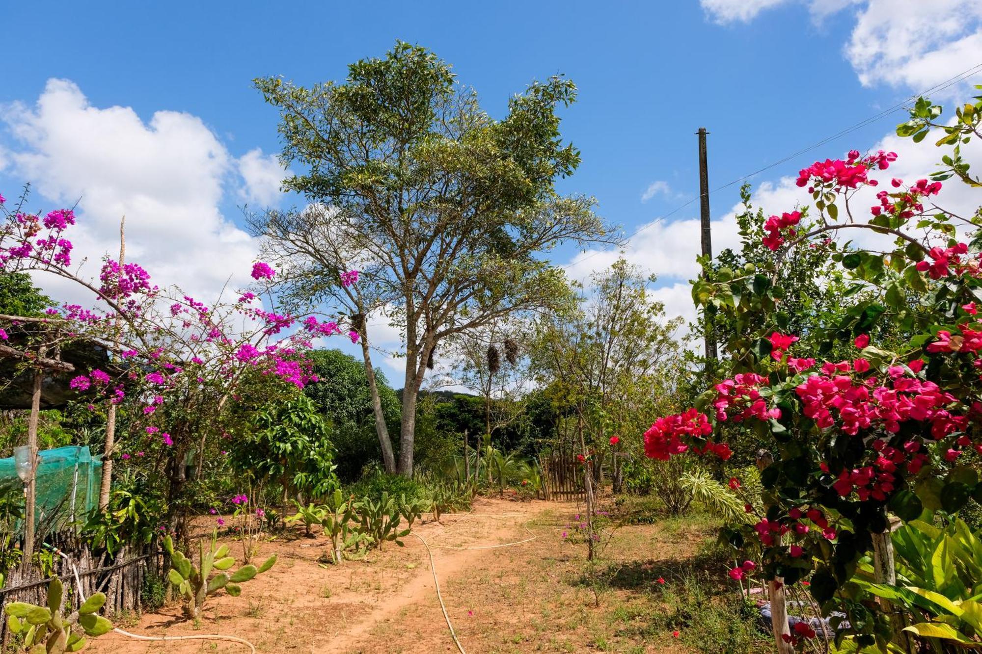 Chalé com Vista Privilegiada Pilões de Dentro Esterno foto